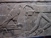 /album/fotogaleria/p1122871-jpg/